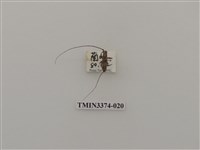 藏品(五星白天牛)的圖片